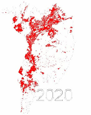 pantanal fogo 2020