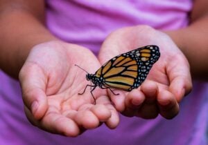 criança natureza educação ambiental borboleta mãos