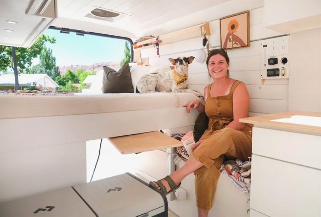 van mini casa mulher cães