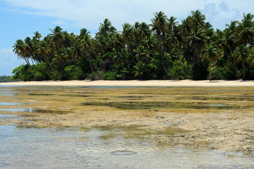 Boipeba
