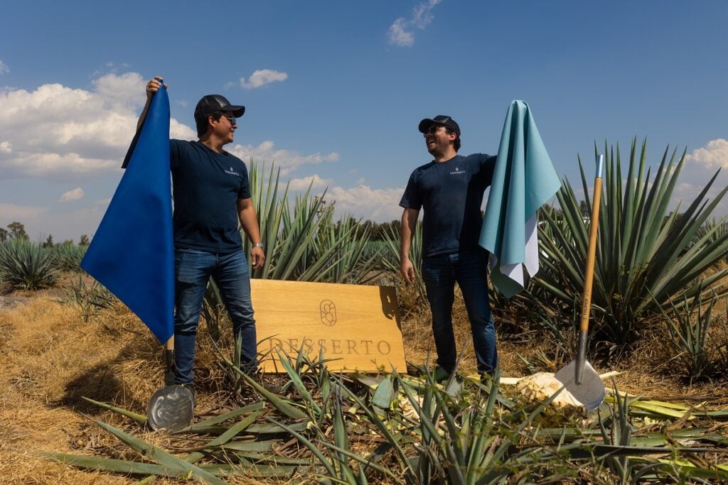 agave couro