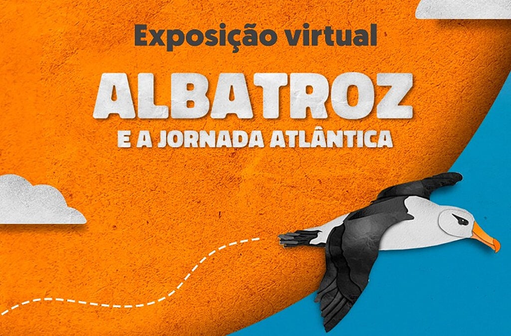 exposição albatroz