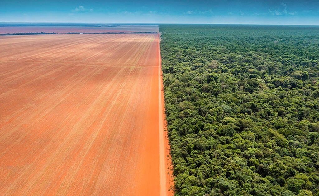 Contraste entre uma plantação de soja e terra indígena. Foto: Kamikia Kisedje