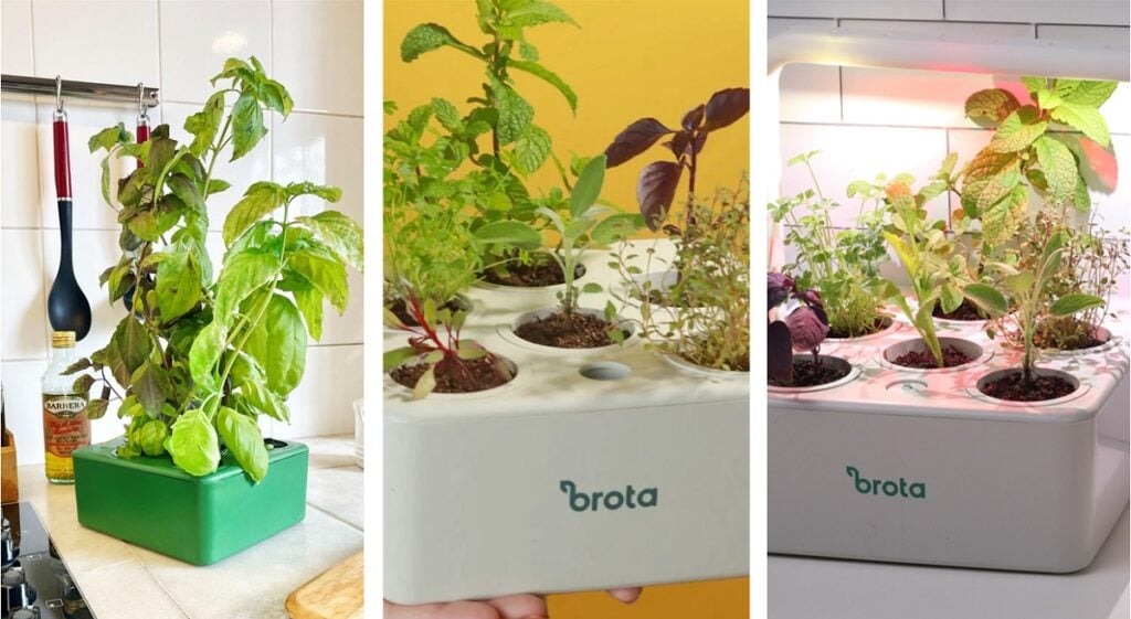 horta automatizada 