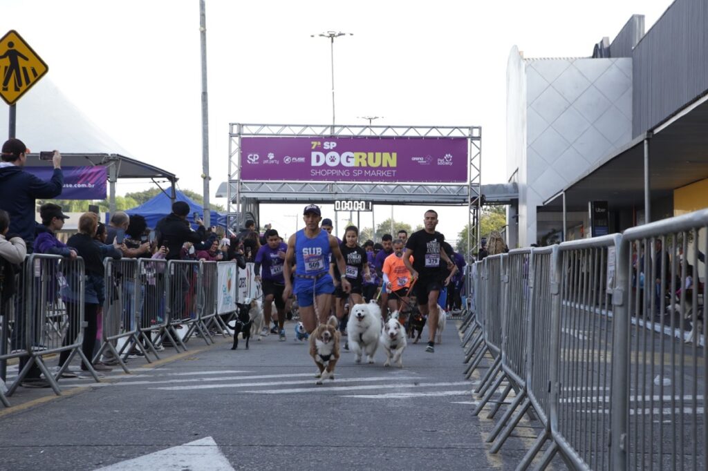 dog run