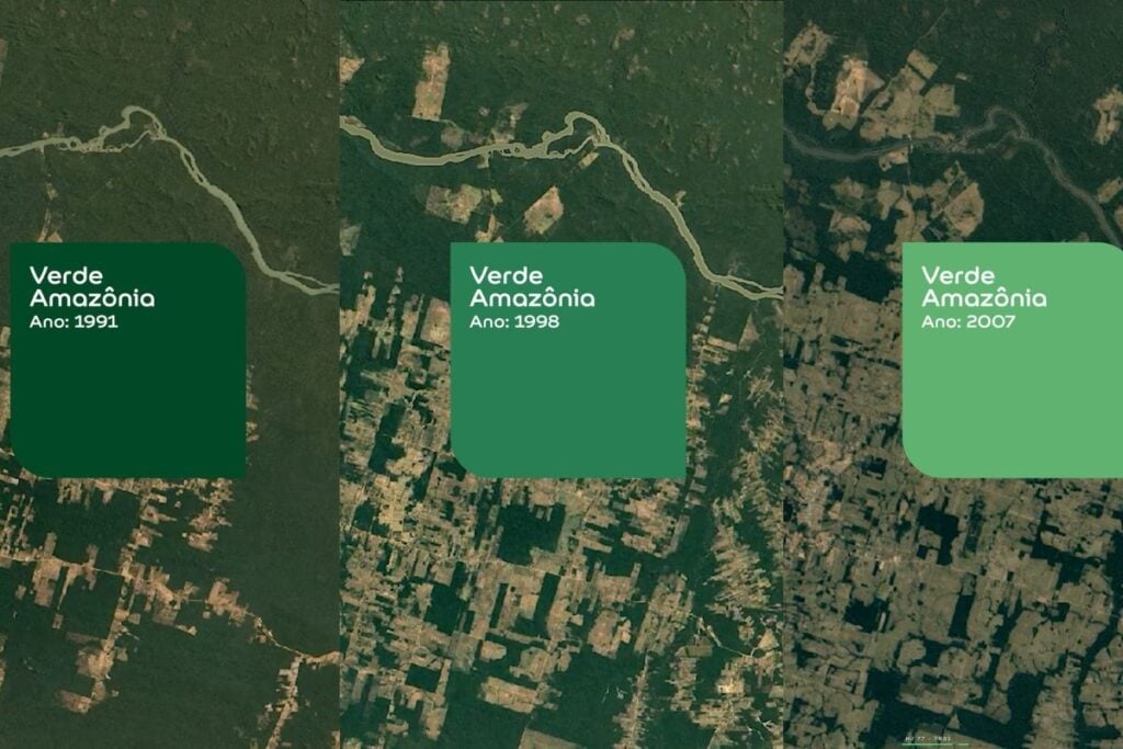 tinta amazônia