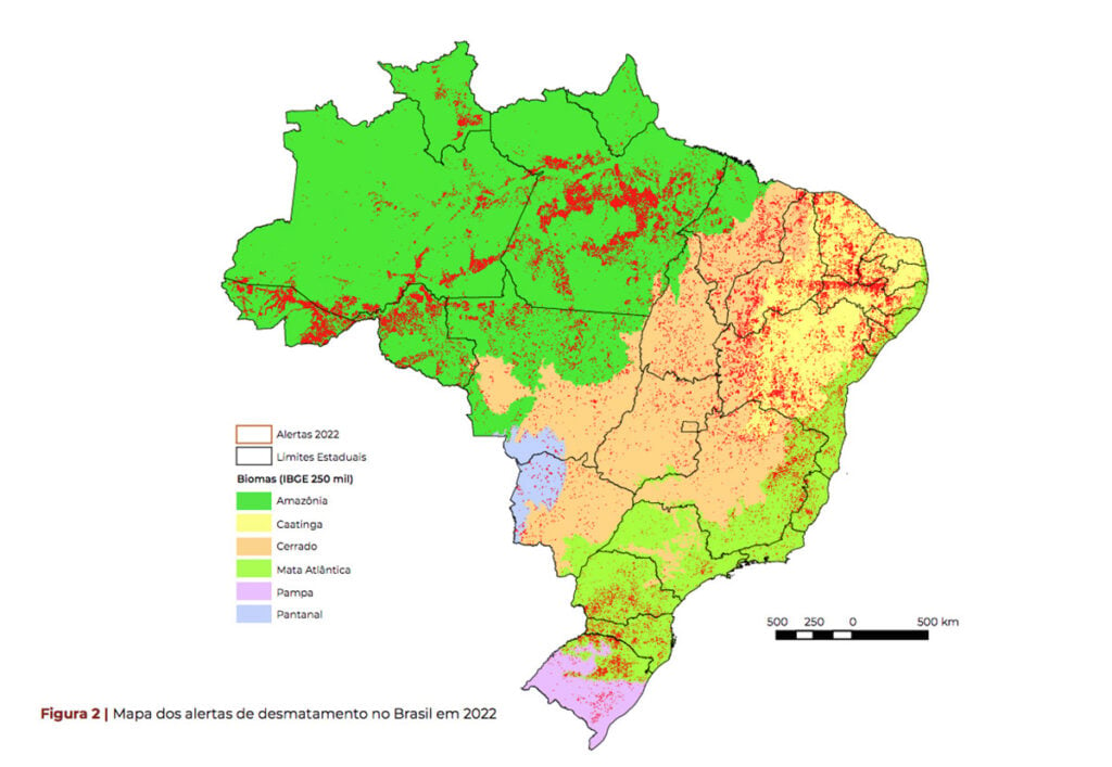 desmatamento no brasil