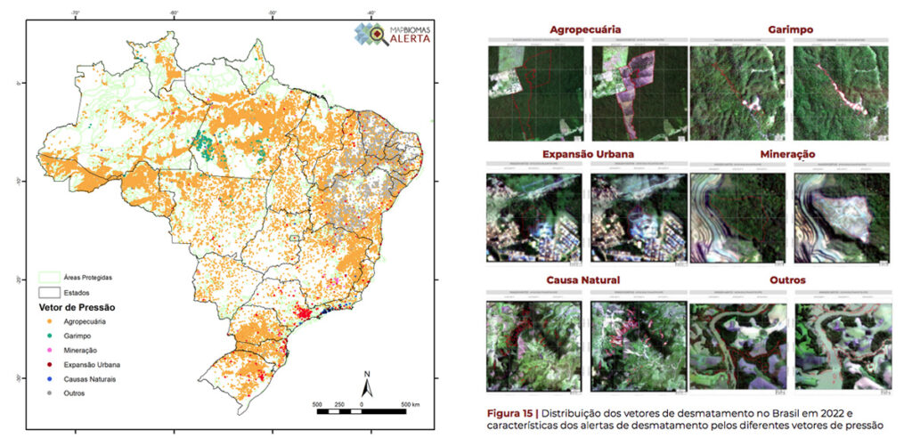 vetores de desmatamento no Brasil