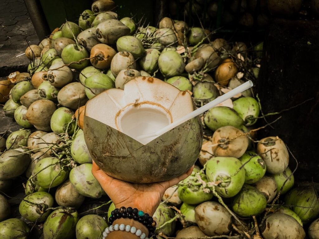 casca de coco