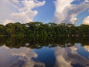 Amazônia Equadros