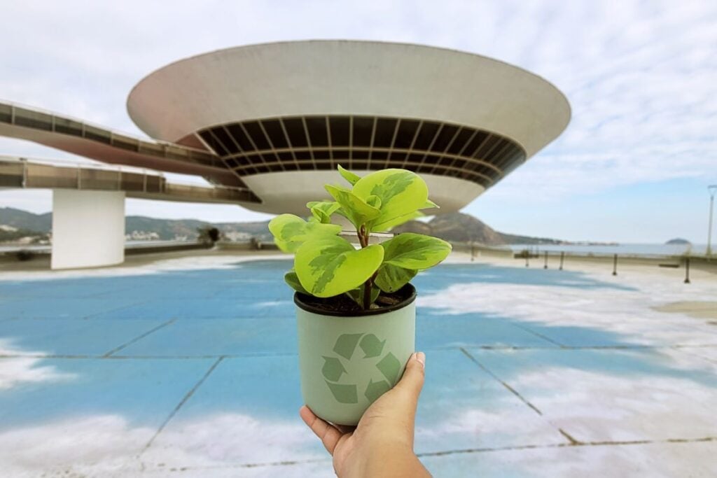 festival arte e sustentabilidade