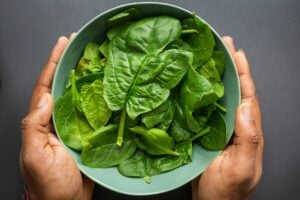 espinafre prato salada