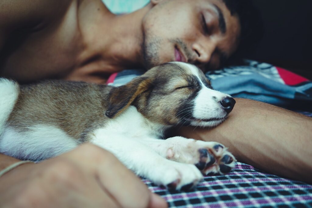 siesta