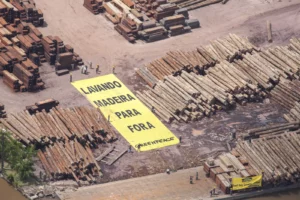madeira ilegal Brasil
