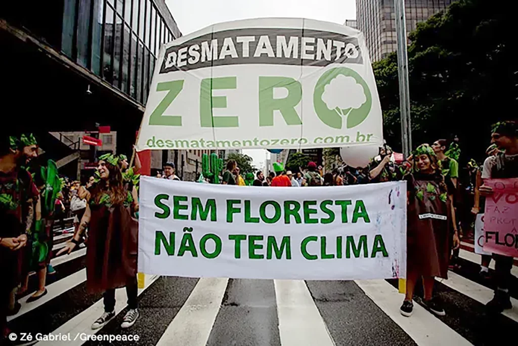 desmatamento zero greenpeace