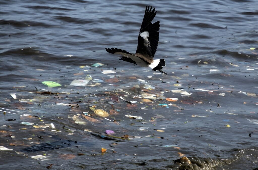 economia circular plástico