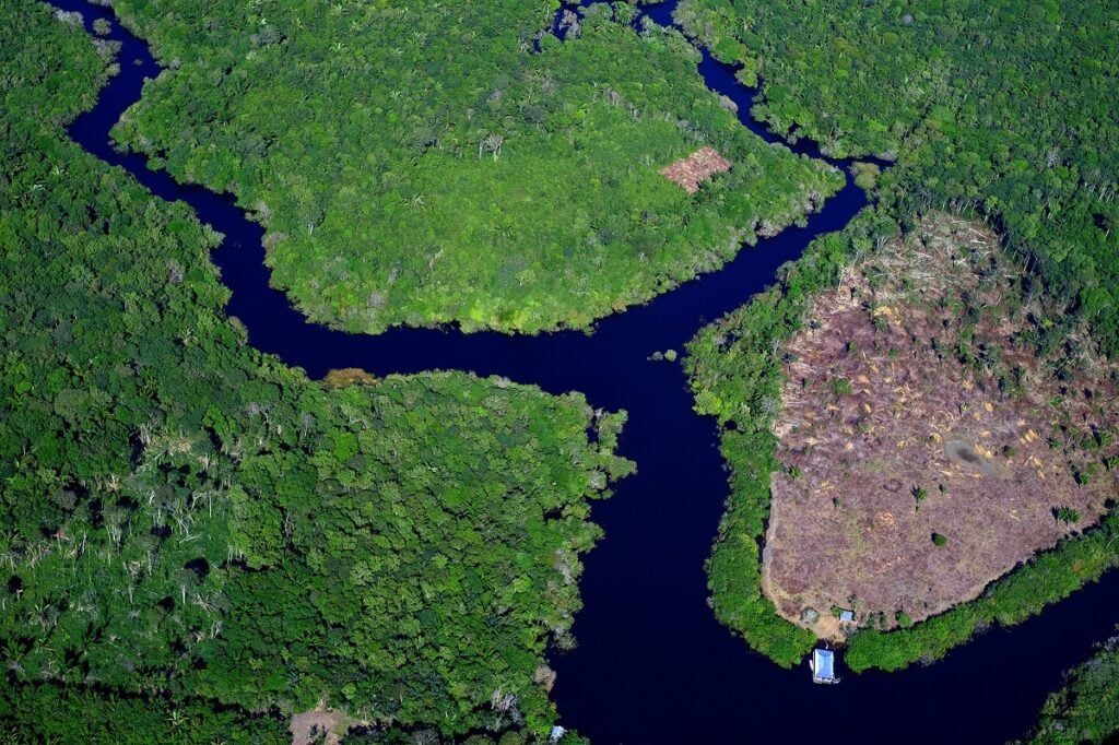 taxa desmatamento amazônia