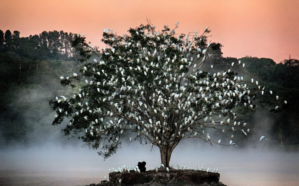 fotos de natureza 2023