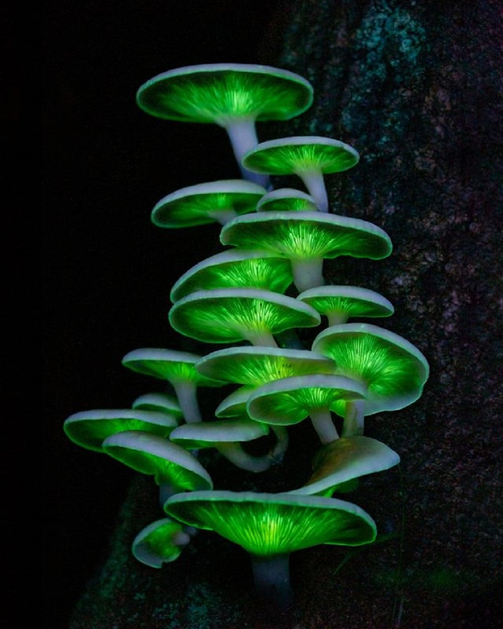 fotos de natureza 2023