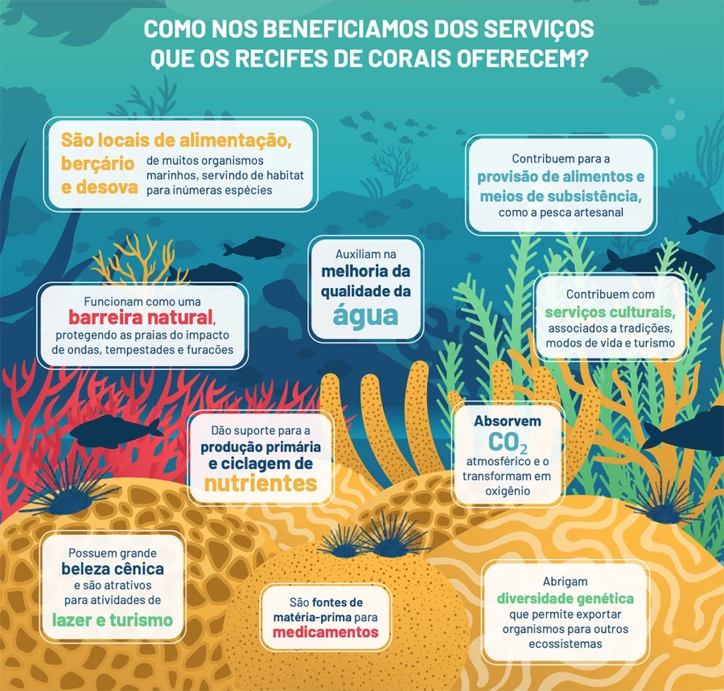 recifes corais serviços ecossistêmicos
