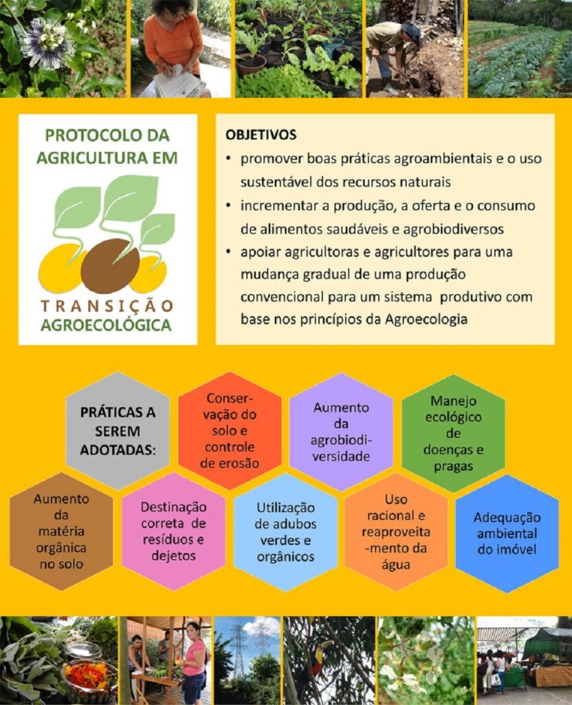 Transição Agroecológica SP