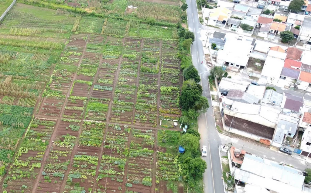 agricultura urbana horta