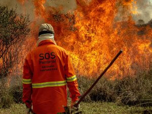brigadista SOS Pantanal fogo