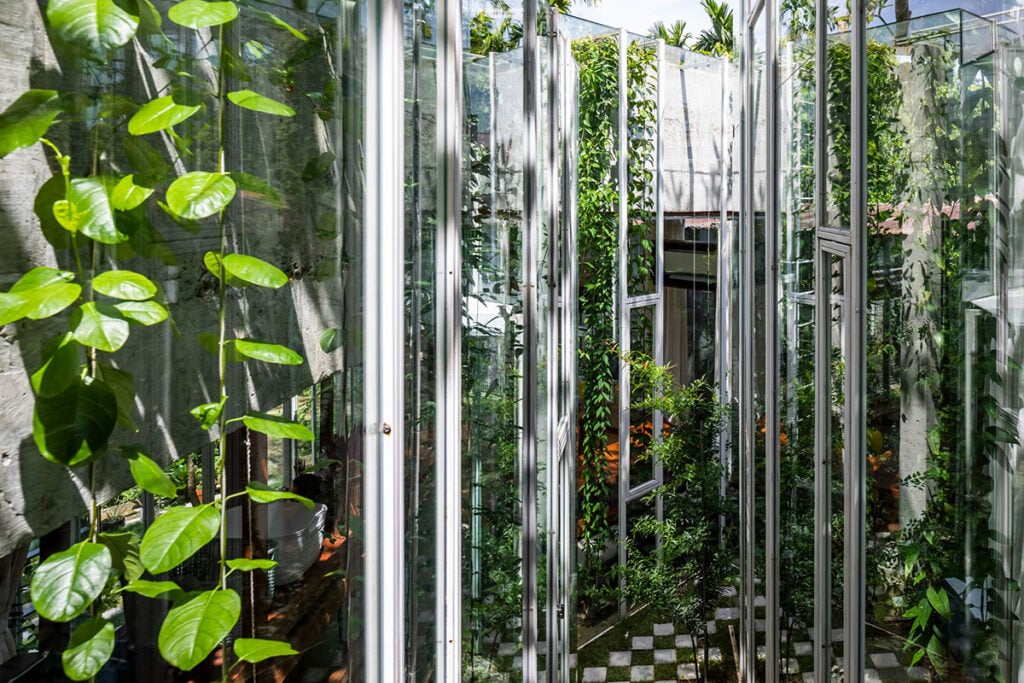 casa de vidro plantas