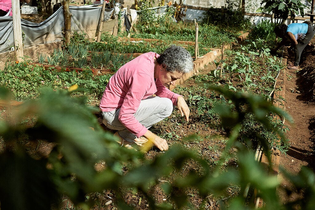 horta comunitária agricultura urbana mulher planta