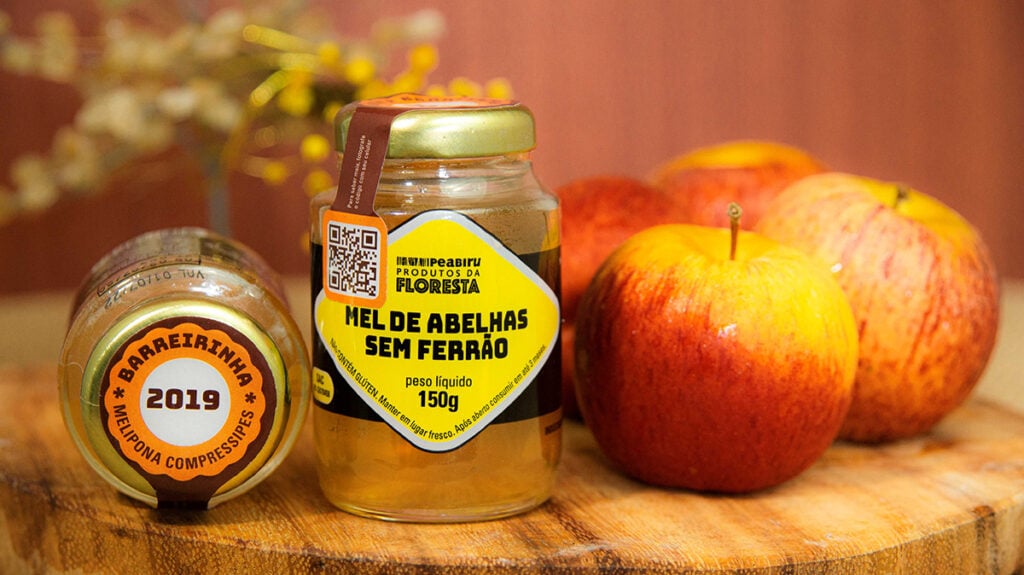 mel de abelhas sem ferrão produzido por projeto no Pará