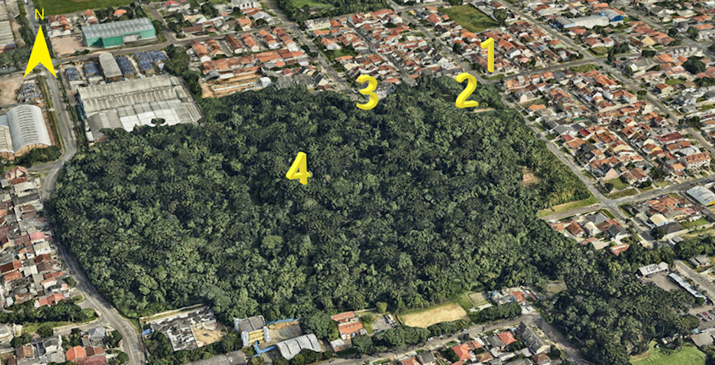 bosque Curitiba