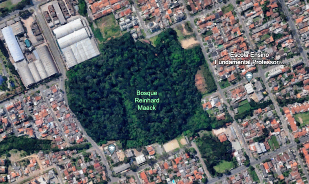 bosque Curitiba