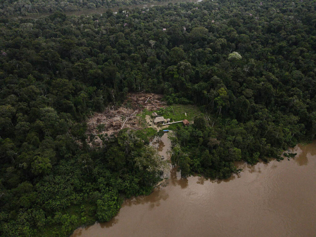 desmatamento amazonia cerrado