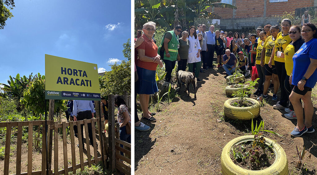 horta comunitária