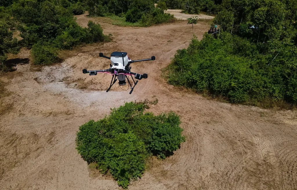 morfo drone reflorestamento