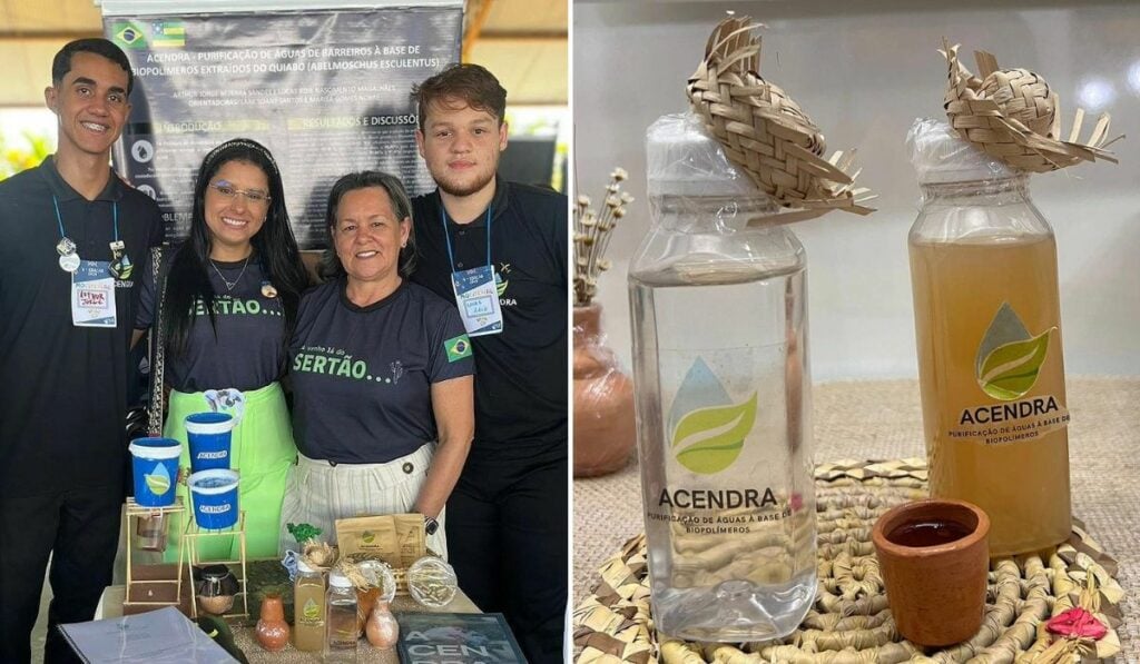 Estudantes purifica água quiabo