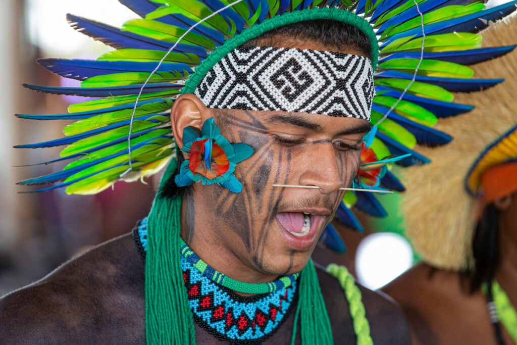 indigena fantasia Carnaval