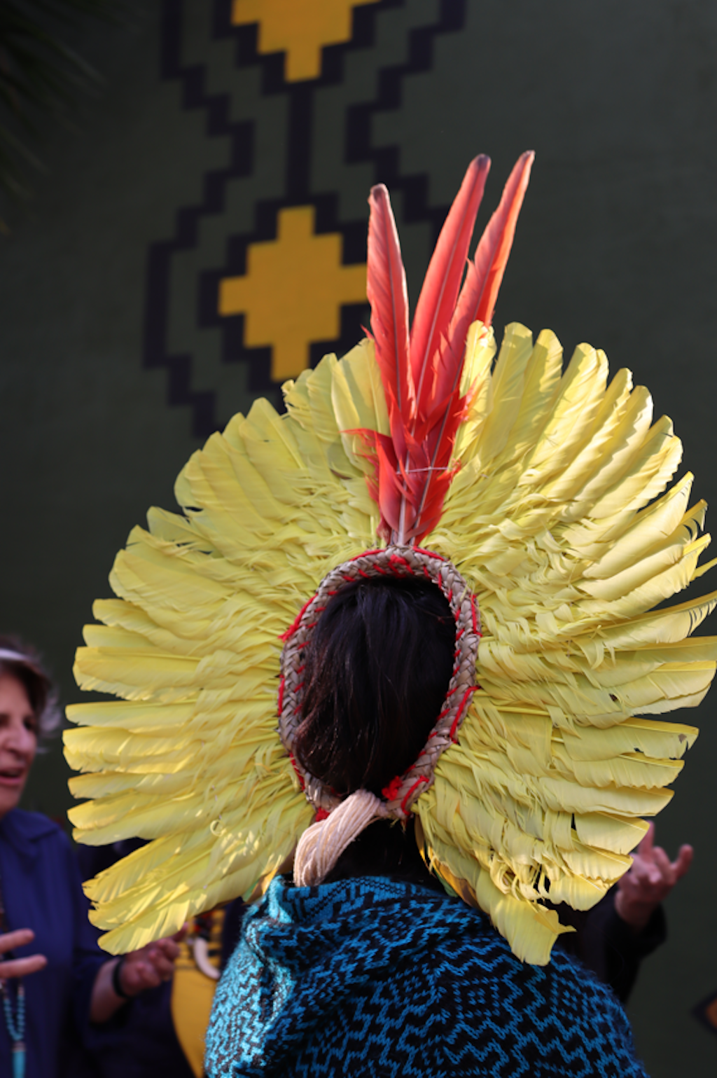indigena fantasia Carnaval 