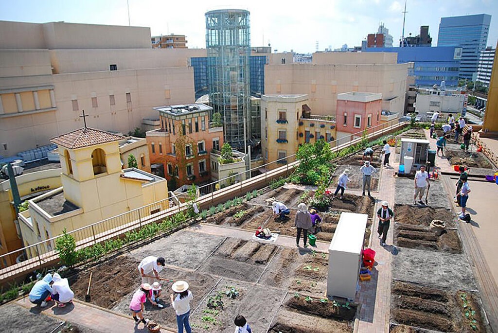 os tetos de construções urbanas podem ser transformados em hortas. Foto: popupcity.net