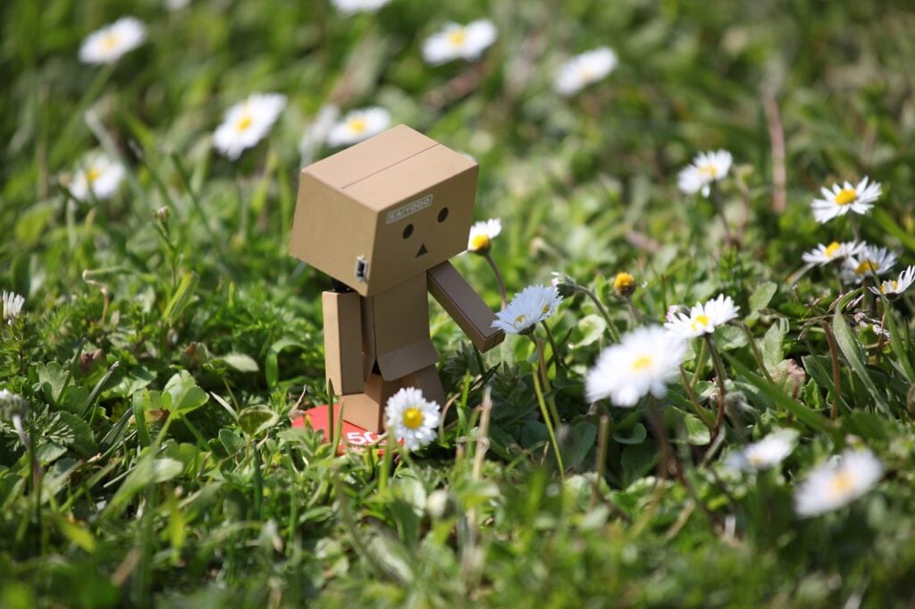 papelão boneco flores jardim