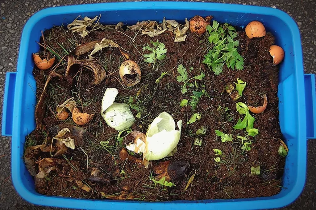 composteira caixas de plástico