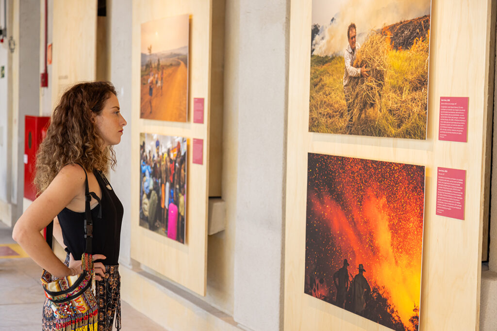 exposição refúgio climático