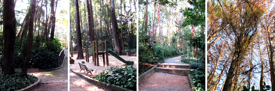 Parque dos Eucaliptos