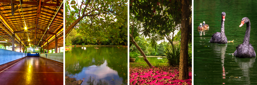 Parque Jardim Felicidade