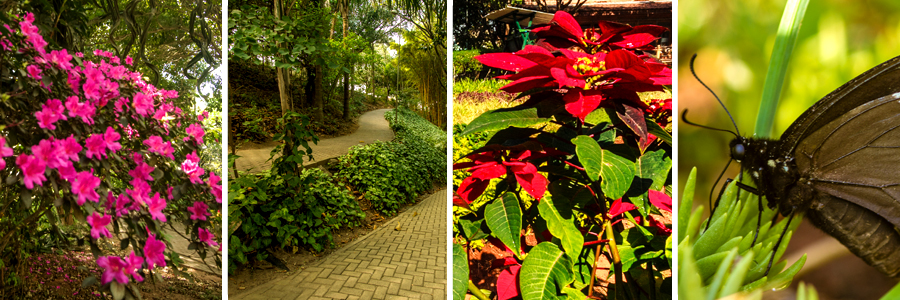 parque faria lima