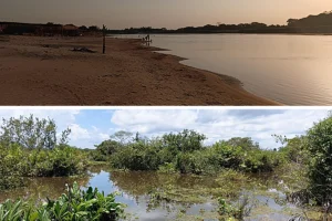 Rio Pindaré, Maranhão