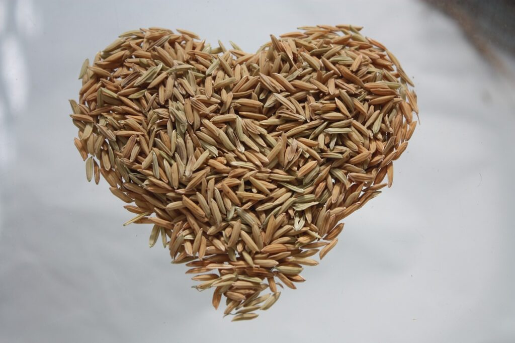 coração de arroz integral comida saudável natural