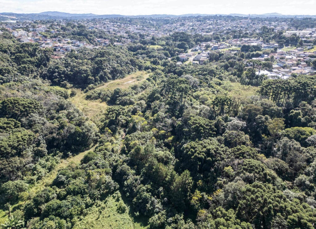 curitiba parques alagaveis