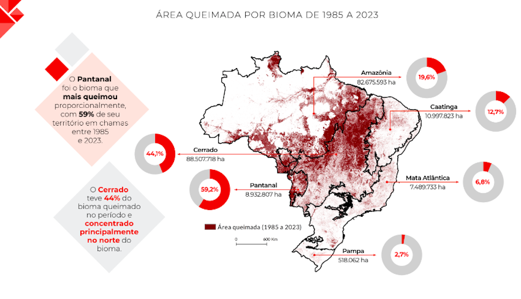 mapa fogo Brasil