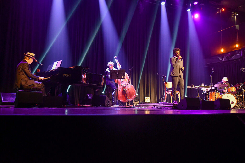 show sos pantanal